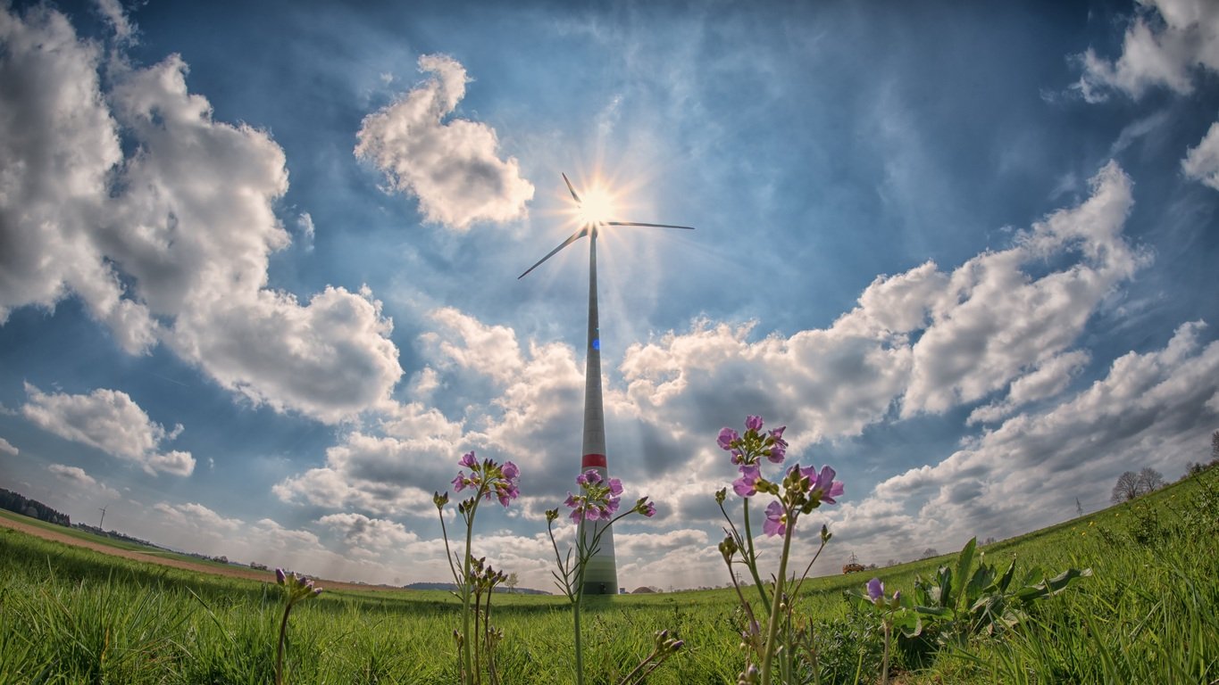 Groundbreaking Innovation for Renewable Energy tree nature grass horizon cloud plant 1391595 pxhere.com